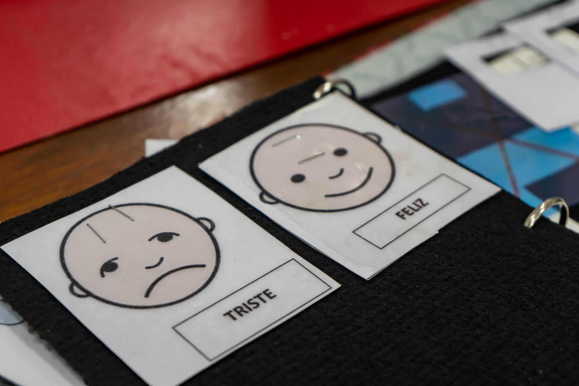 Taller Teórico Práctico ''Hacia el Empoderamiento de las Familias.'' Fundación TEA Santa Cruz